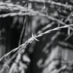 barbed wire roll, barbed, wire-4094574.jpg